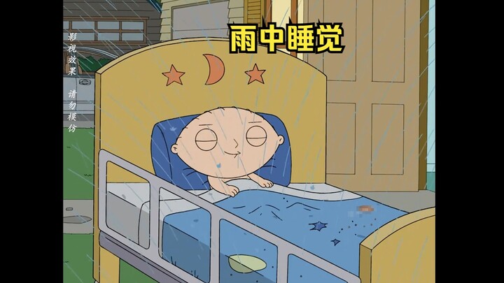 饺子在雨中睡觉，还做了一个美梦