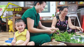 Cá lù đù một nắng sau cơn mưa đầu mùa - Nam Việt 20