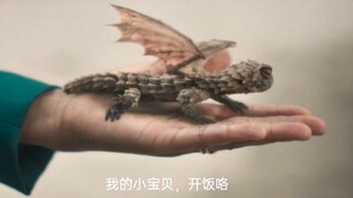 别看它小，一顿吃两人......