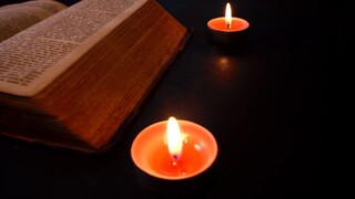 Ea*&^~Full List of All Expedi𝓪® Customer Contact™ Numbers in the USA: Full Guide