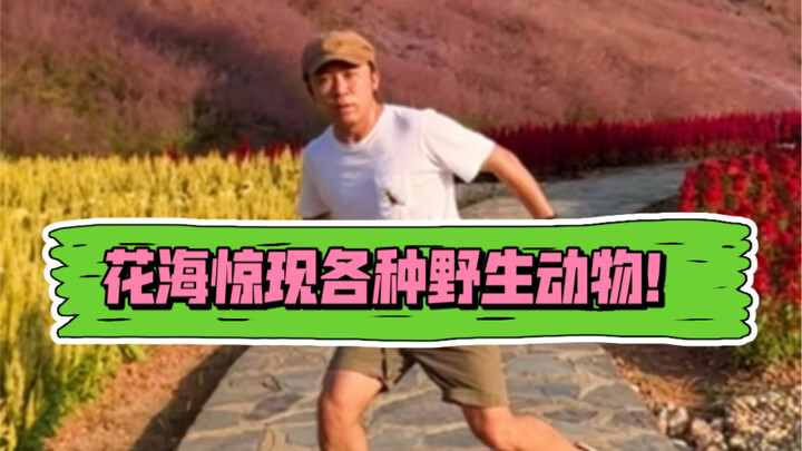 Chép lại mấy con vật của bạn quốc tế Daniel, ha ha ha!