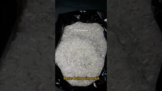 DYMA |ASMR RAW RICE EATING |Makan Beras | asmrrawriceeating| #asmrsounds  #asmr #shorts #mukbang(2)