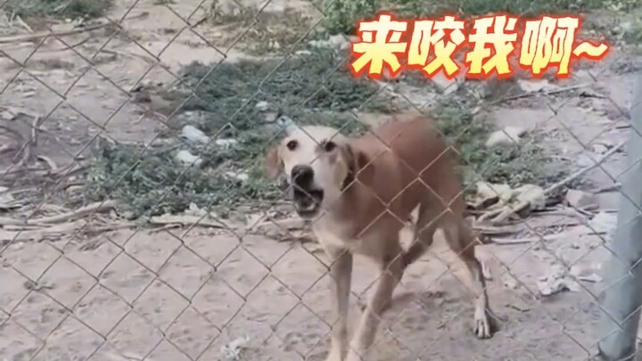 That net in the middle is called the “internet,” right?