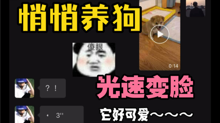 Saat kamu diam-diam memelihara seekor anjing...