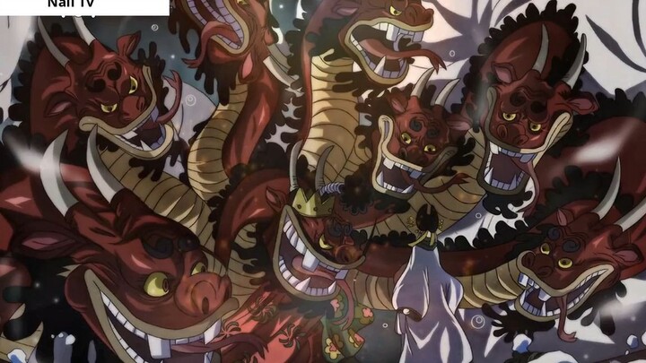 Top 10 Trái ác quỷ hệ ZOAN mạnh nhất trong One Piece [Chapter 952]-5
