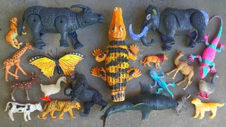 Find Animal Toys ‼️ Crocodile, Kingkong, Elephant, Duck, Shark