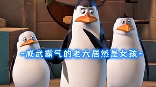 同行12年，不知老大是女孩