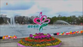 Encerrado Festival de Plantas Decorativas de 2025