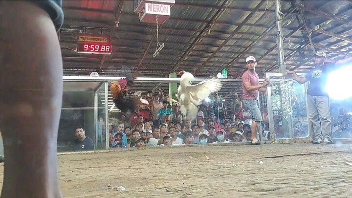 1st Fight ( Sweater Boston ) - Win