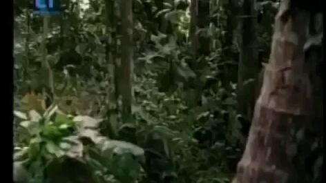 Virgin_2__Full_movie_tagalog_mp4