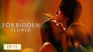 Forbidden Flower EP 11 [SUB INDO]