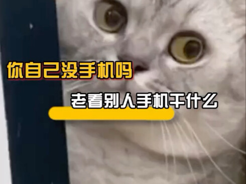 Sobat, dengar nasehatku, ngapain terus-terusan lihat ponsel orang lain!