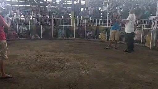 @ gensan gallera