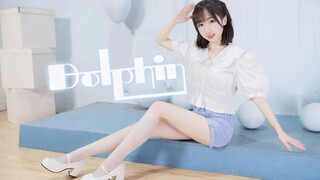 Sự ngọt ngào hoàn hảo! Chú cá heo nhỏ trong mùa đông khắc nghiệt của mùa hè♡ Dolphin[NaNa]