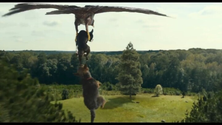 Strays _ Watch Full Movie : Link In Description