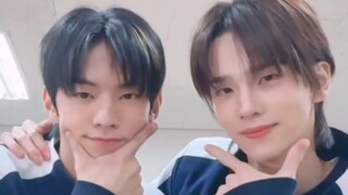 มันเป็นเพียงการ์ตูนเกาหลี! 【คิมดูฮุน + ชินเหว่ย】BFF ดับเบิ้ลชา!