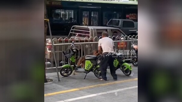 Một chiêu hạ gục