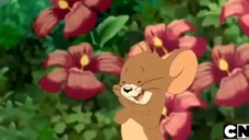 kartun anak Tom and Jerry bahasa indonesia flowers jerry