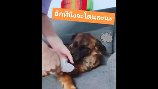 ห้าวอย่างมีสติ "อีกทีนึงจะโดนละนะ