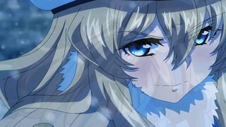 The current Mao Mei VS the past Mao Mei VS the former Mao Mei