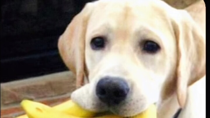 هل الاهتمام بالماضي مهم حقًا؟