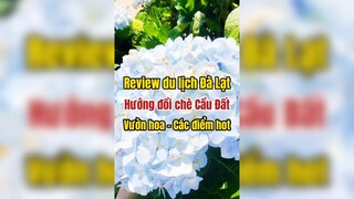 Review du lịch Đà Lạt nào