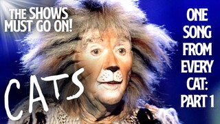 One Song From Every Cat: Part 1 | CATS