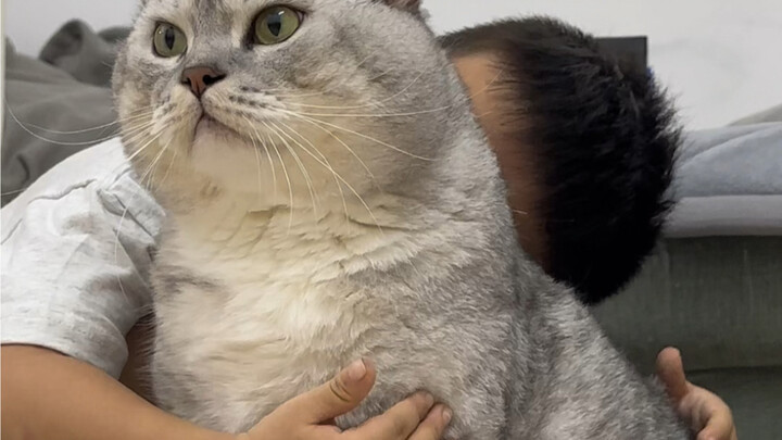 Đại Tráng đồng hành mỗi ngày cùng cậu em út