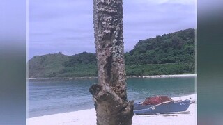 summer destination. ilocos norte