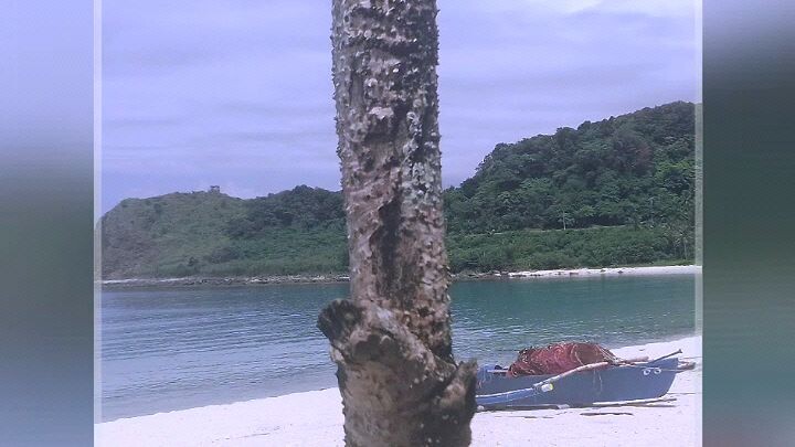 summer destination. ilocos norte