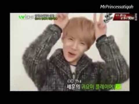 All About Sehun (세훈)_EXO - Funny, Cute, Aegyo & Gwiyomi Compilation