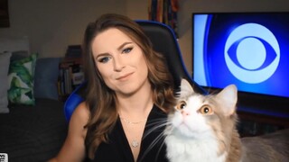 新闻直播时小动物们抢镜...这么可爱，真的很难不被注意到！