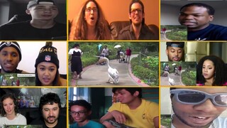 Animal Thug Life Compilation Reactions Mashup