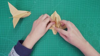 I have heard of it but never seen it. How to fold a simulated paper airplane on water?