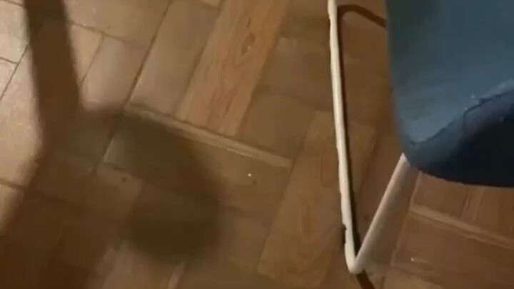 Memberikan Lebah Seumur Hidup yang Utuh