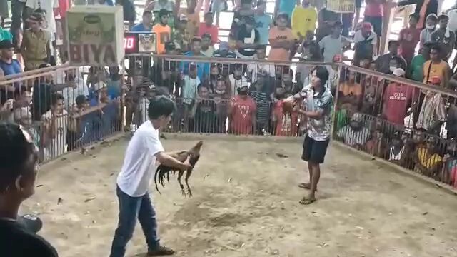 win tayu jan mga boss