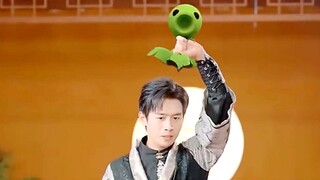 Mini seri Plants vs. Zombies? Seorang pria baru saja memercikkan air ke kepalanya, dan tunas kacang 