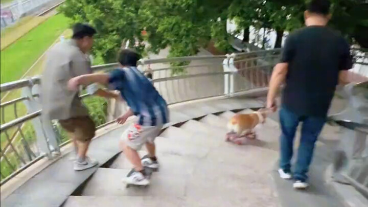 Who’s really better? Skateboard Xuanxuan vs. Skateboard Xiugou