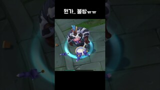 젖소알리 귀환장면 속 귀여운 장면ㅋㅋㅋ (극AP 알리스타)