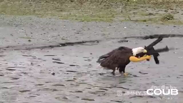America, fuck yeah!