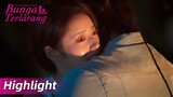 Highlight EP17 He Ran mengungkapkan cintanya pada Xiao Han | The Forbidden Flower | WeTV【INDO SUB】