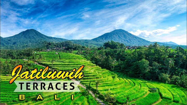Sawah Terasering | Jatiluwih Terraces | Warisan Budaya Dunia | Bali Paradise