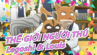 [THẾ GIỚI NGƯỜI THÚ] Legoshi & Louis / Vuốt và nanh nhọn cho bạn