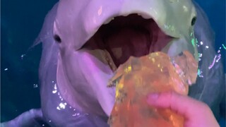 A happy day starts with a meal 😊