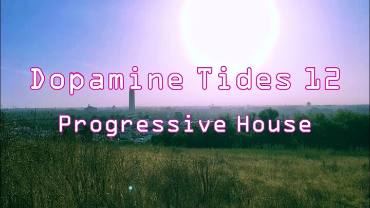 Traski Music - Dopamine Tides  12 - Progressive House