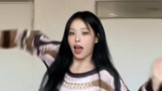 【เหย่าเหย่า】บทเพลงอันอ่อนโยนของใบไม้