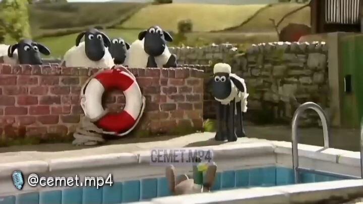 DUBBING JAWA SHAUN THE SHEEP (wedi adus)