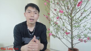 Thai Lạng Sơn I Video Cuối Đi Sắm Tết Về Quê Ăn Tết Ấm Cũng Bữa Cơm Tất Niên Cuối Năm