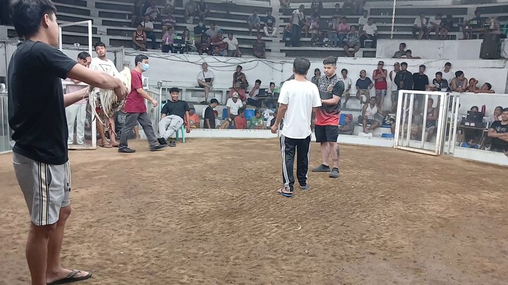 Albany dome 1x winner patay din pag tapos nang laban..