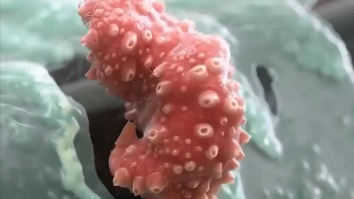 The Weird Videos on Ins